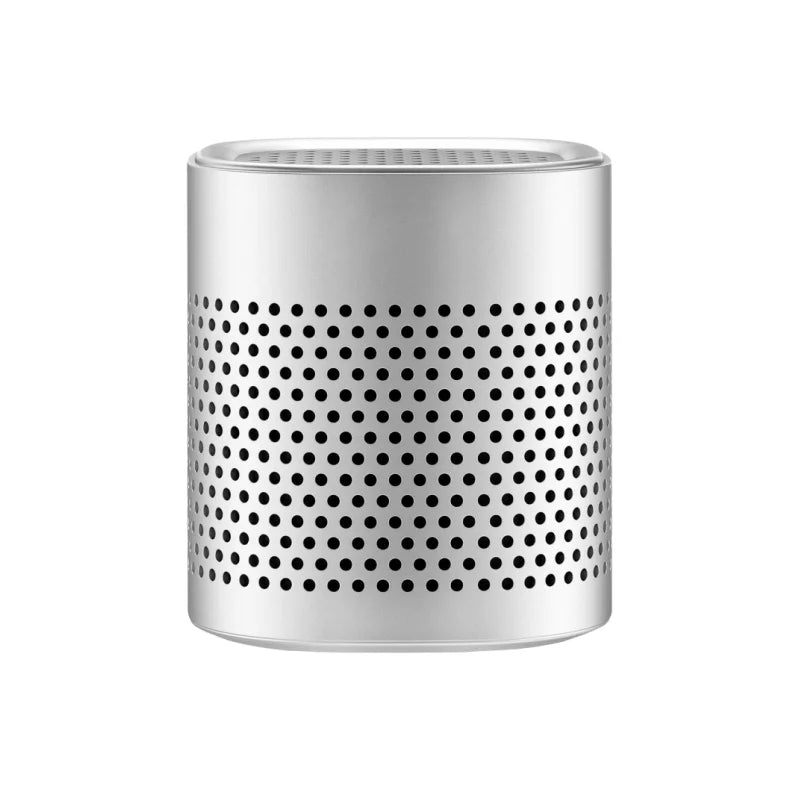 Stainless Steel Refrigerator Deodorizer