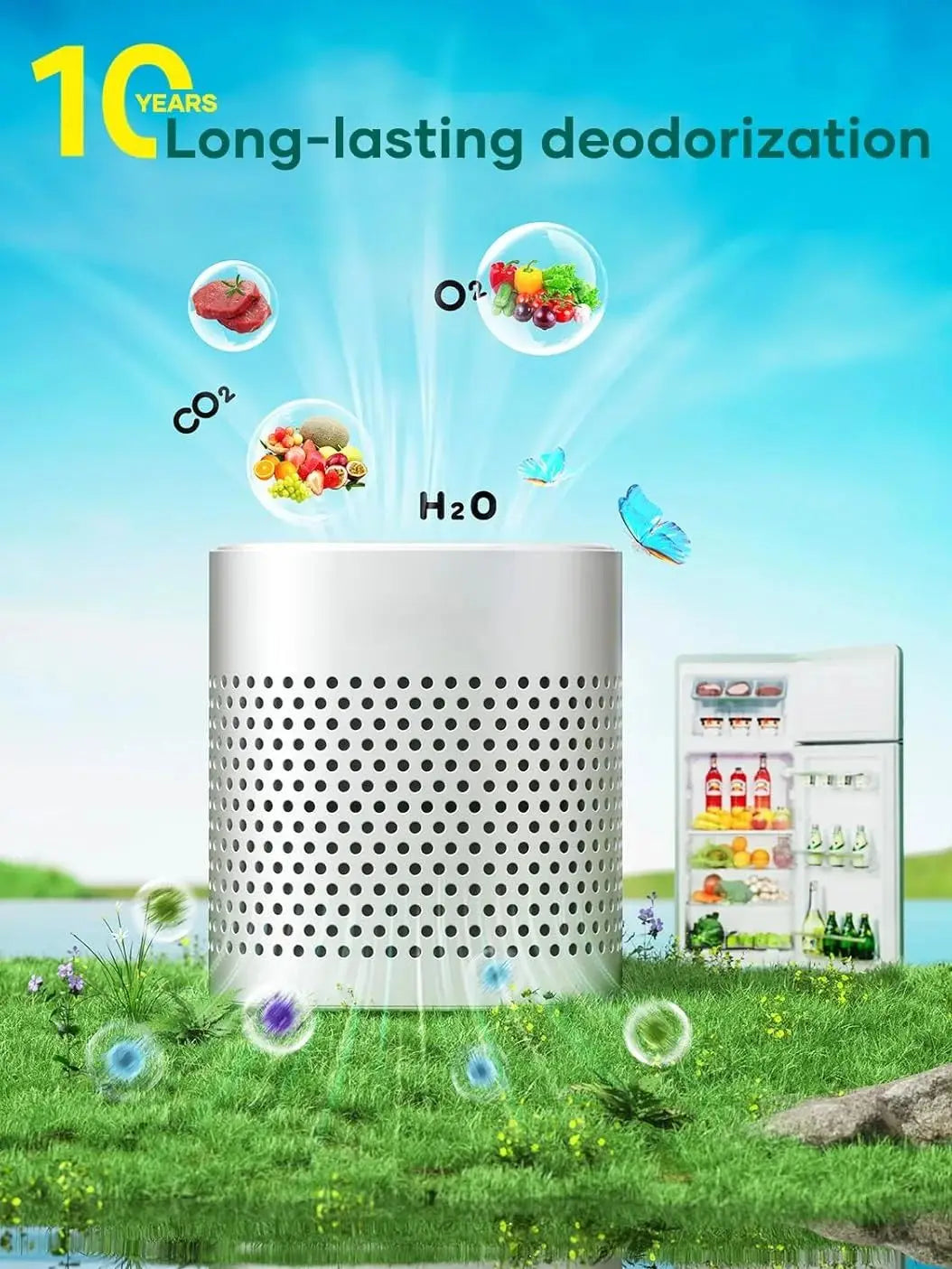 Stainless Steel Refrigerator Deodorizer